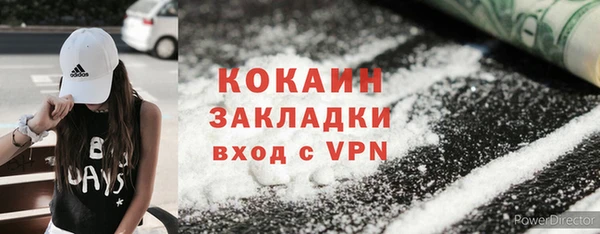 твердый Осташков