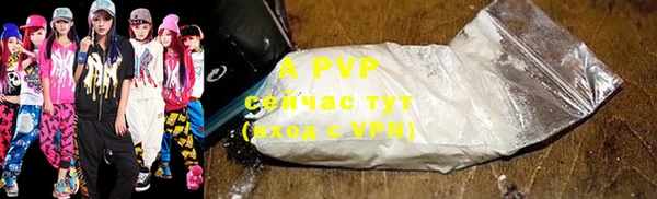 твердый Осташков
